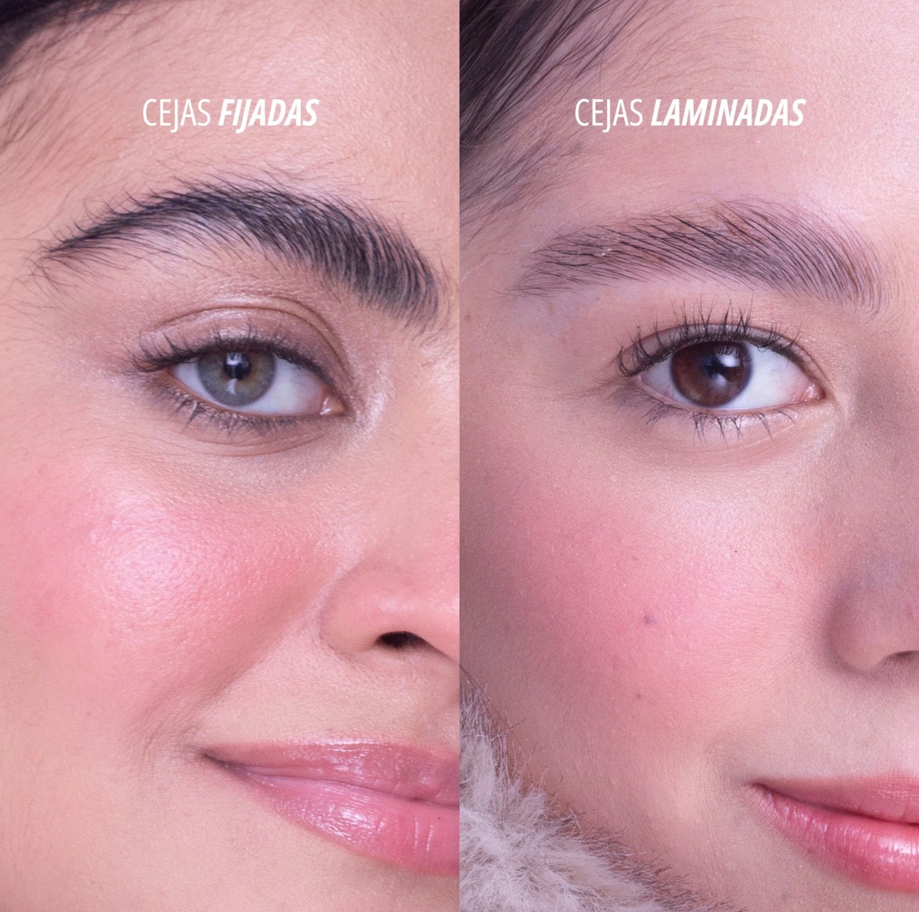 Gel Fijador de Cejas Anik
