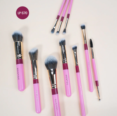 Kit de brochas Fluffy 670 X 10 Brochas Montoc