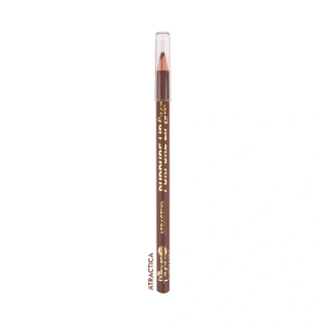 Lapiz de Labios Lipliner Purpure